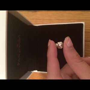 Pandora Penguin Charm