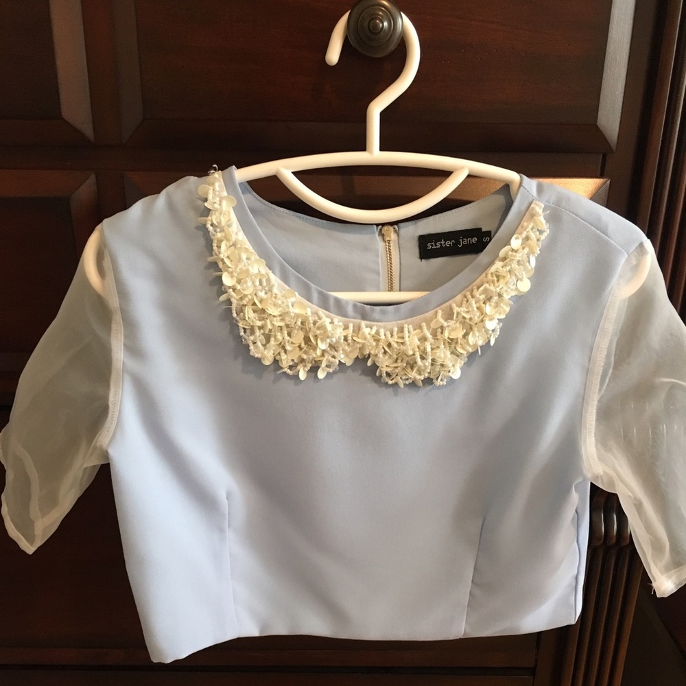 Urban Outfitters Light Blue Embroidered Mesh Top