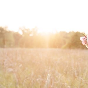 Meet your Posher, Jade