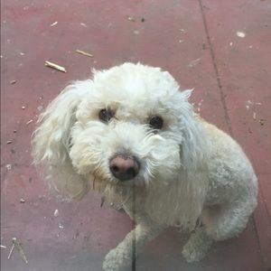 Meet your Posher, Shauna