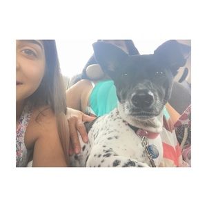 Meet your Posher, Emily