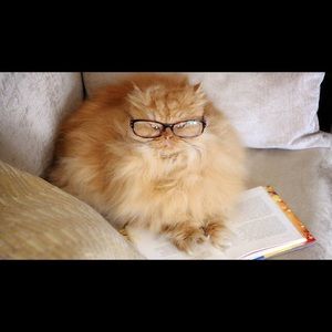 Meet your Posher, Mariam