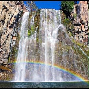 Meet your Posher, Hector