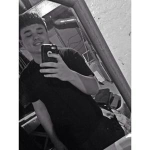 Meet your Posher, Harley