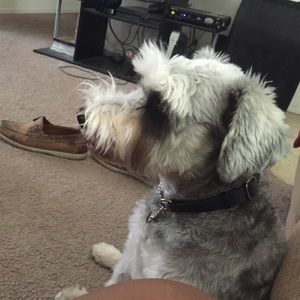 Meet your Posher, Darren