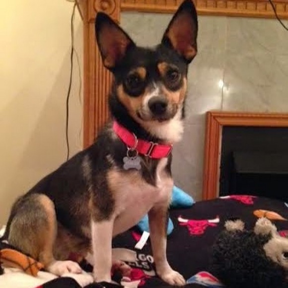 Meet your Posher, Nora