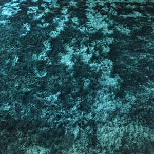 Meet your Posher, Gerri