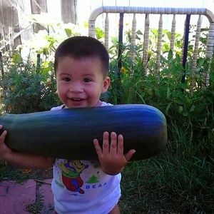 Meet your Posher, Jos? alberto