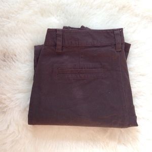 NWT C. Wonder jodhpur pants