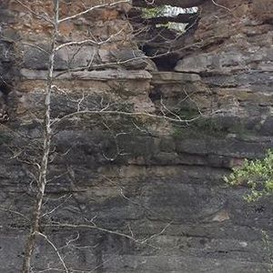 Meet your Posher, Teresa