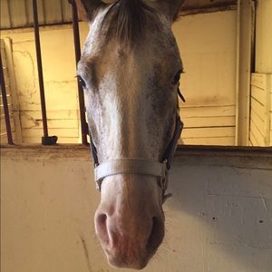 Meet your Posher, Savanah