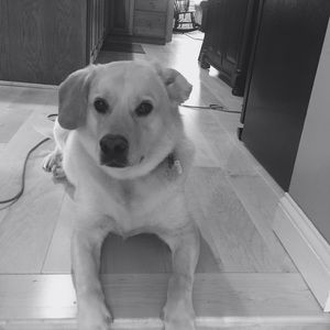 Meet your Posher, Erin