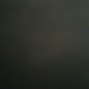 Meet your Posher, Silvia