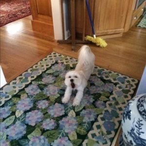 Meet your Posher, Tylei