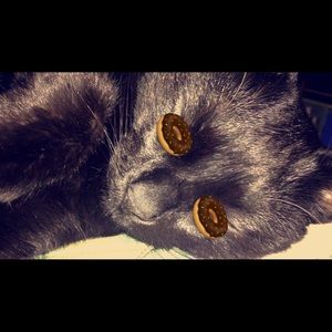 Meet your Posher, Kayce