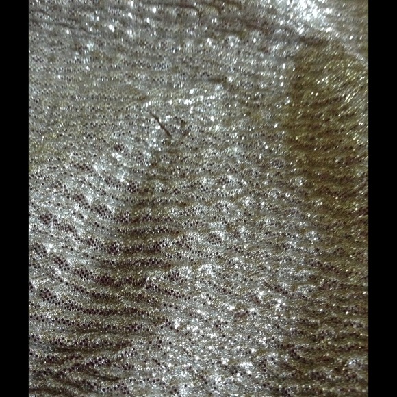 Silver Express Dress - Picture 3 of 3
