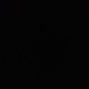 Meet your Posher, Harley