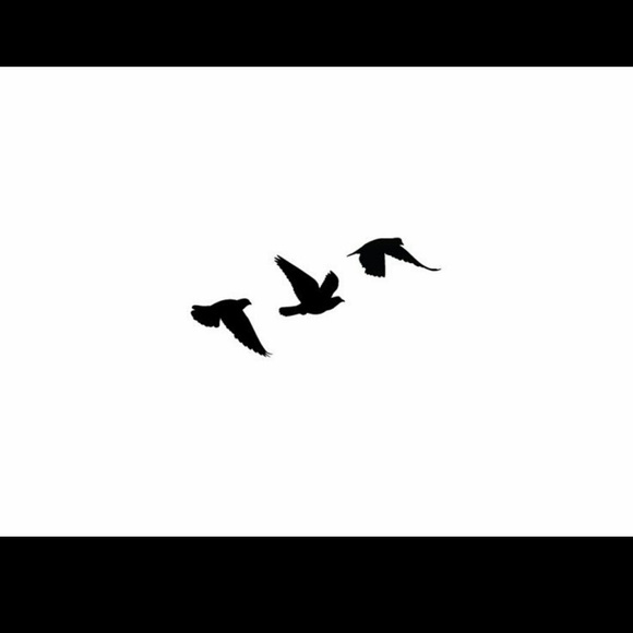 Meet your Posher, Sky - Picture 1 of 1