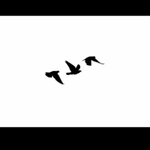 Meet your Posher, Sky