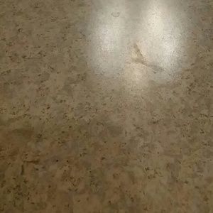 Meet your Posher, Stefanie