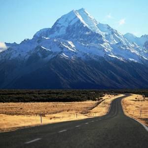 Meet your Posher, Sunny