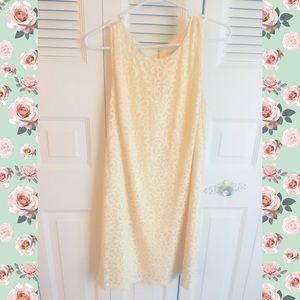 LOFT Lace Sheath Dress