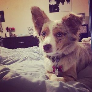 Meet your Posher, Brooke