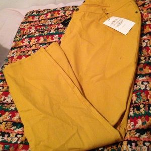 Plus size jegging