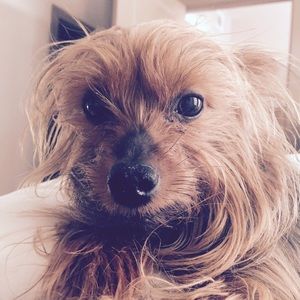 Meet your Posher, Fran