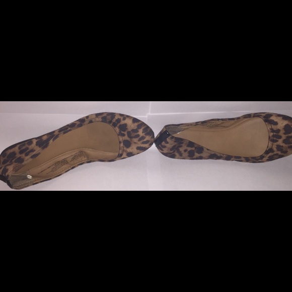 Cheetah Flats