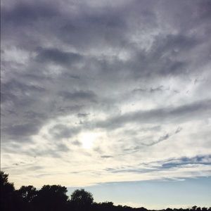 Meet your Posher, Shaylee