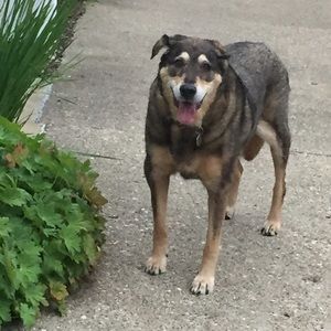 Meet your Posher, Julie