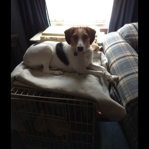 Meet your Posher, Janice