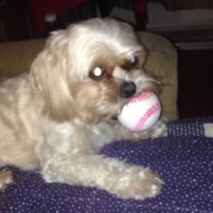 Meet your Posher, Teddy