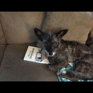 Meet your Posher, Debbie