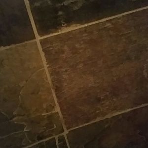 Meet your Posher, Carmen