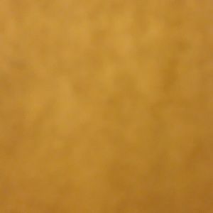 Meet your Posher, Paige