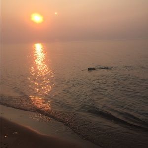 Meet your Posher, Keeley