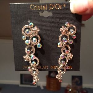 Classy earrings