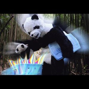 Meet your Posher, Edgar