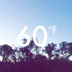 Meet your Posher, Walter