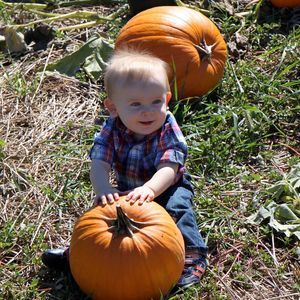 Meet your Posher, Kelly