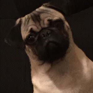 Meet your Posher, Deborah