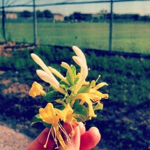 Meet your Posher, Kelly