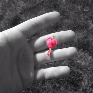 Meet your Posher, Morgan