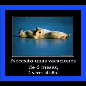 Meet your Posher, Antonio