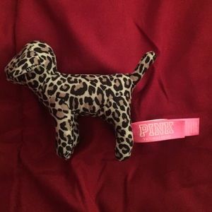 Mini VS cheetah dog!