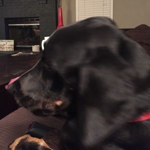 Meet your Posher, Kailyn