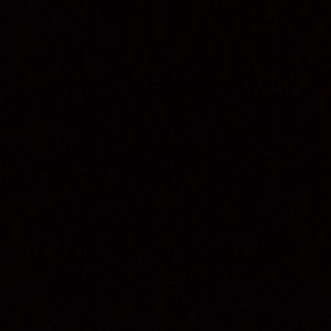 Meet your Posher, Daisy