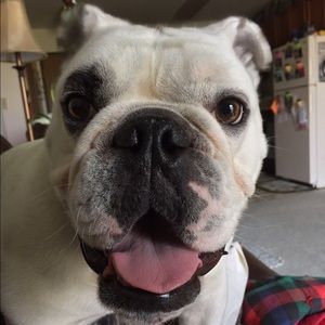 Meet your Posher, Catherine